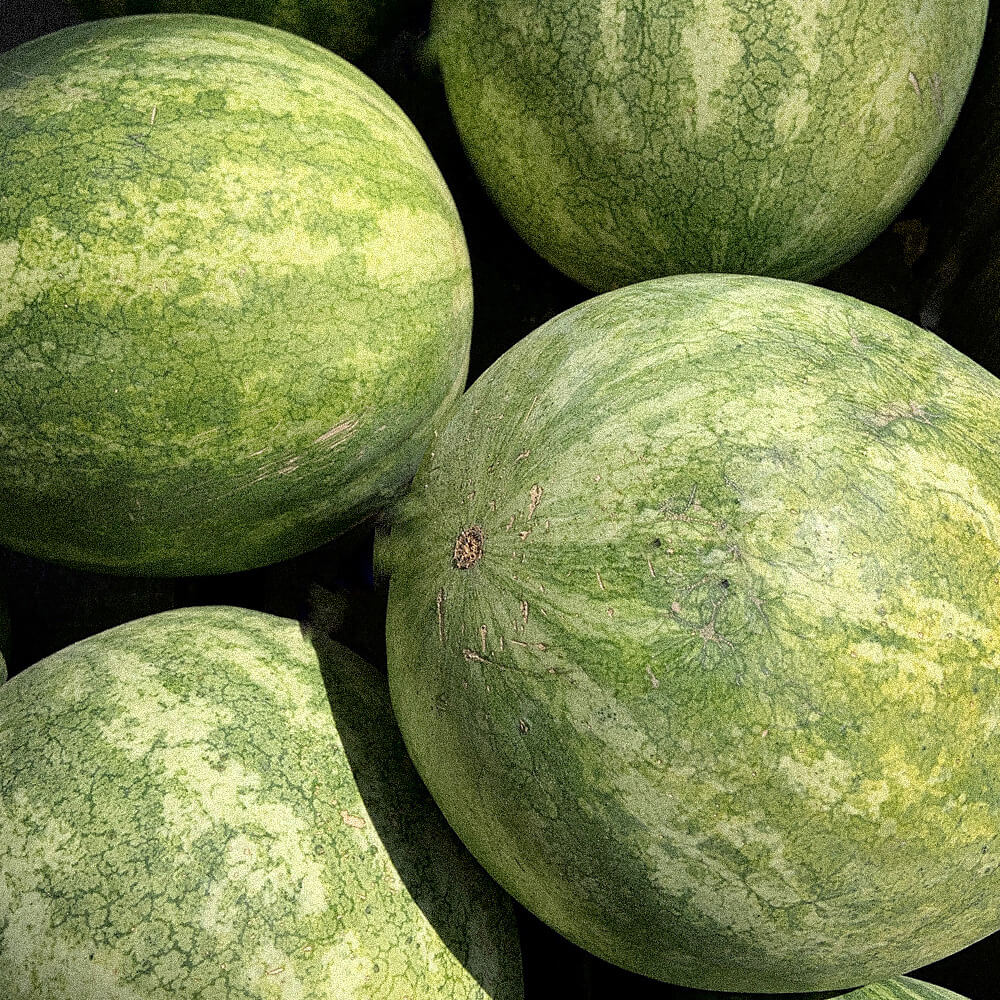 Skincare: The Kalahari Melon Seed Oil