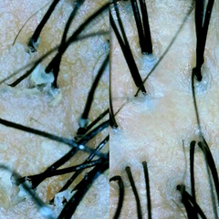 Reboot Scalp and Hair Detox - Naturally Drenched