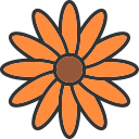 Calendula