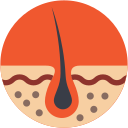 Hair · Scalp · Skin