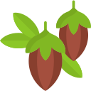 Jojoba Oil